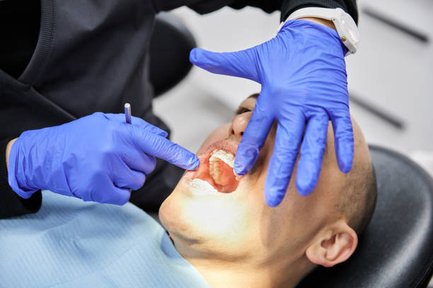 Best Emergency Root Canal Therapy in Rockwood, MI